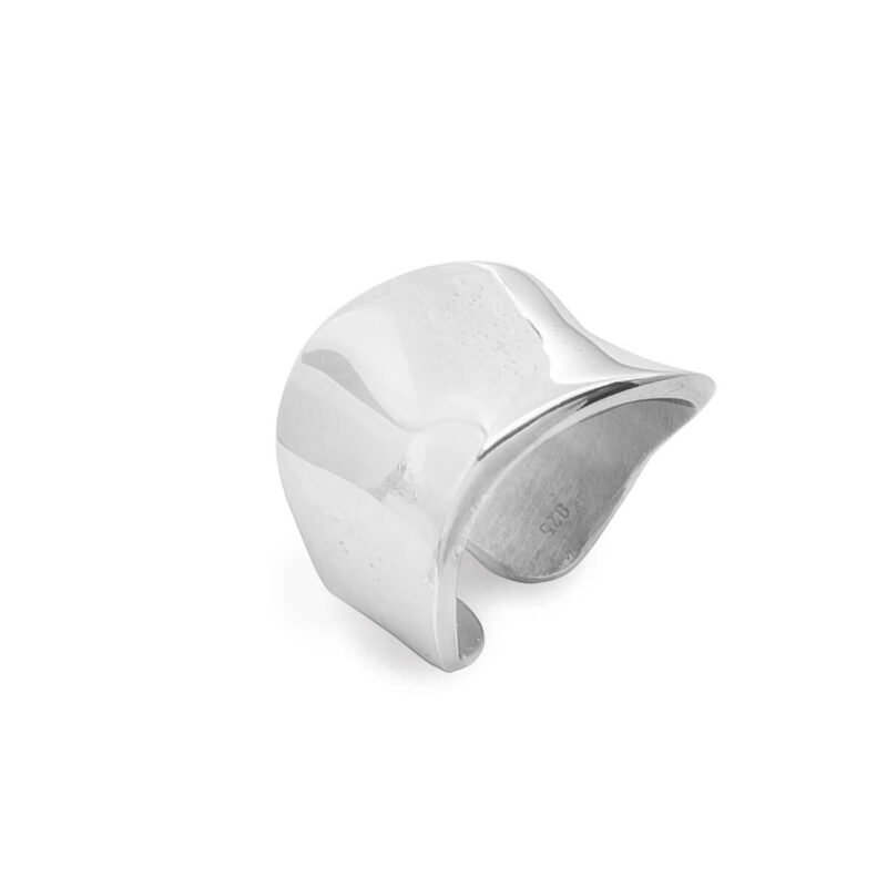 Γυναικείο Δαχτυλίδι Cromogenic Silver