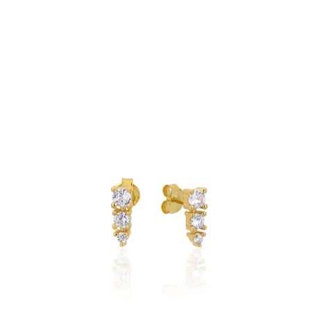 Ασημένια Σκουλαρίκια Fab Gold