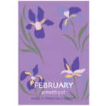 Δαχτυλίδι Birthstone February