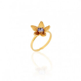 Δαχτυλίδι Birthstone February
