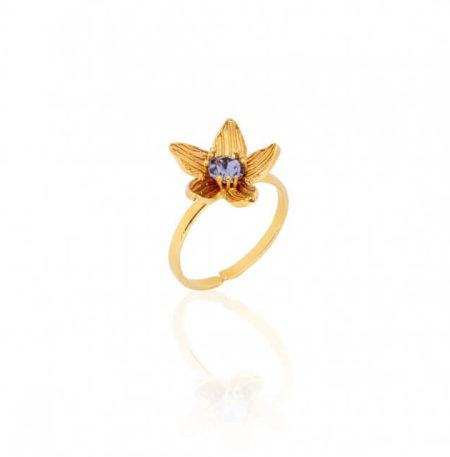 Δαχτυλίδι Birthstone February