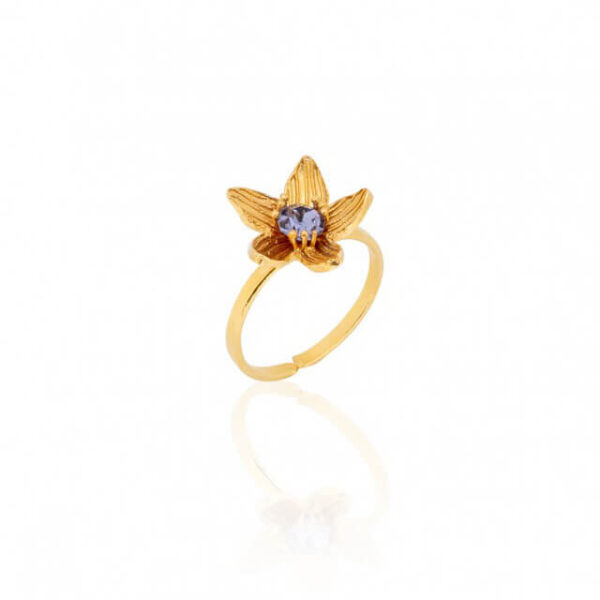 Δαχτυλίδι Birthstone February