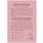 Δαχτυλίδι Birthstone January