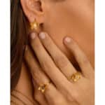 Δαχτυλίδι Birthstone January