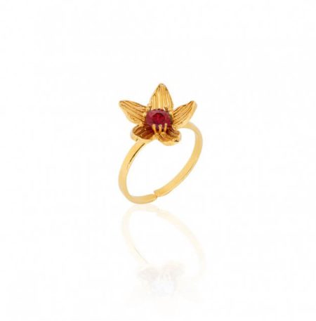 Δαχτυλίδι Birthstone January