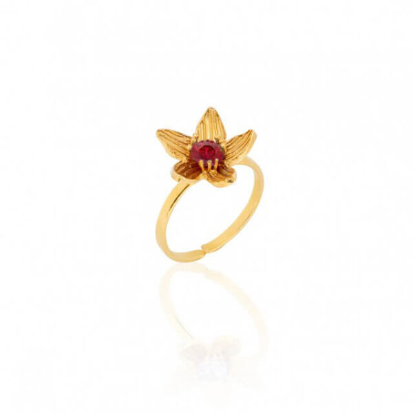 Δαχτυλίδι Birthstone January