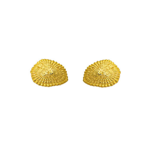 Σκουλαρίκια Limpet Gold