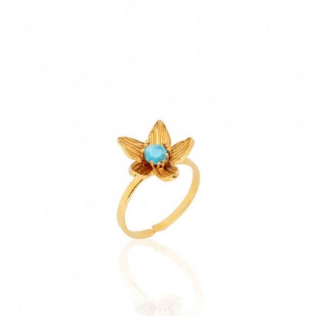 Δαχτυλίδι Birthstone December