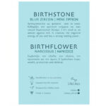 Δαχτυλίδι Birthstone December