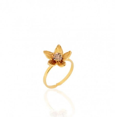 Δαχτυλίδι Birthstone November