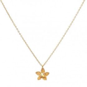 Κολιέ Birthstone April