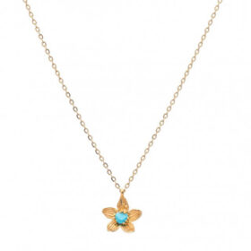 Κολιέ Birthstone December