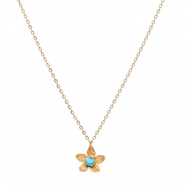 Κολιέ Birthstone December