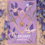 Κολιέ Birthstone February