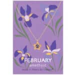 Κολιέ Birthstone February