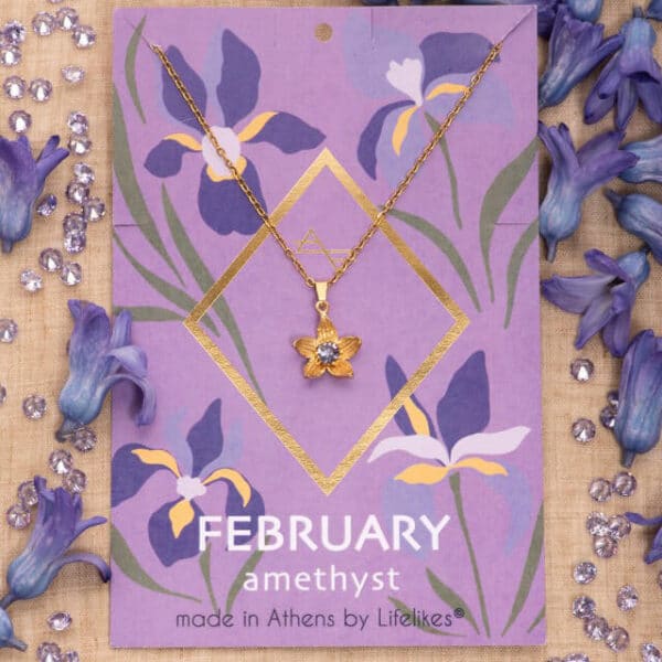 Κολιέ Birthstone February