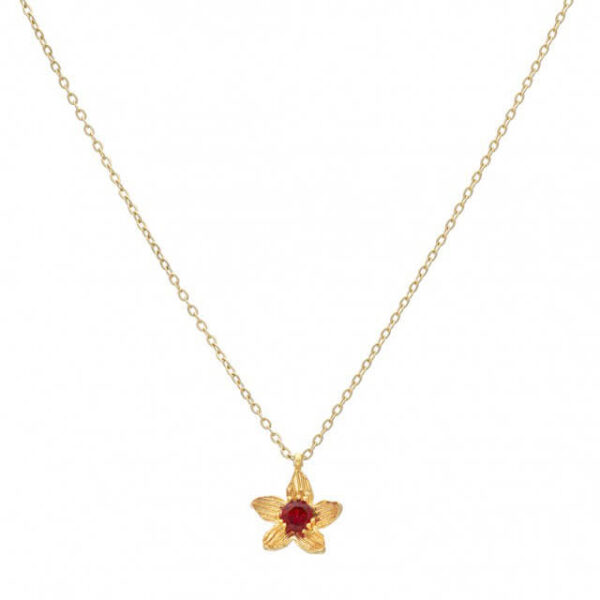 Κολιέ Birthstone January