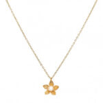 Κολιέ Birthstone June