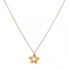 Κολιέ Birthstone June