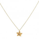 Κολιέ Birthstone November