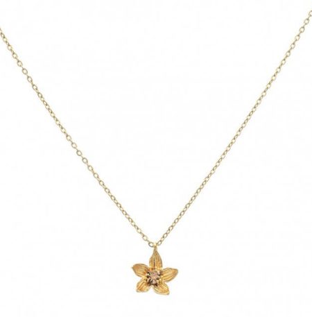 Κολιέ Birthstone November