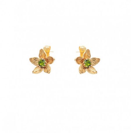 Σκουλαρίκια Birthstone August