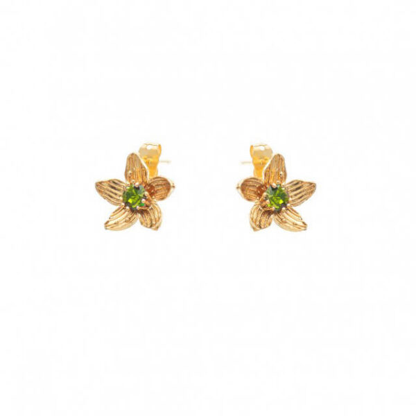 Σκουλαρίκια Birthstone August