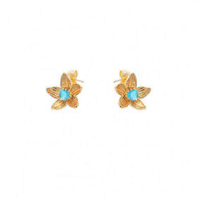 Σκουλαρίκια Birthstone December