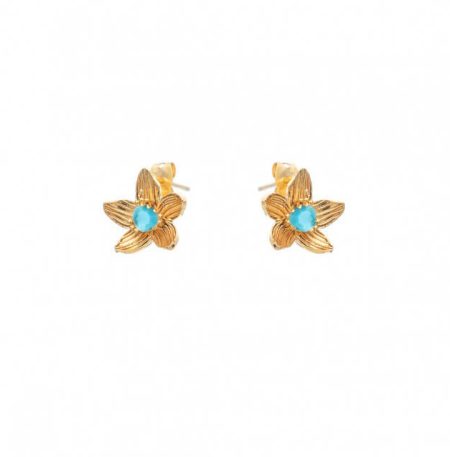 Σκουλαρίκια Birthstone December
