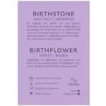 Σκουλαρίκια Birthstone February
