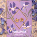 Σκουλαρίκια Birthstone February