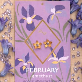 Σκουλαρίκια Birthstone February
