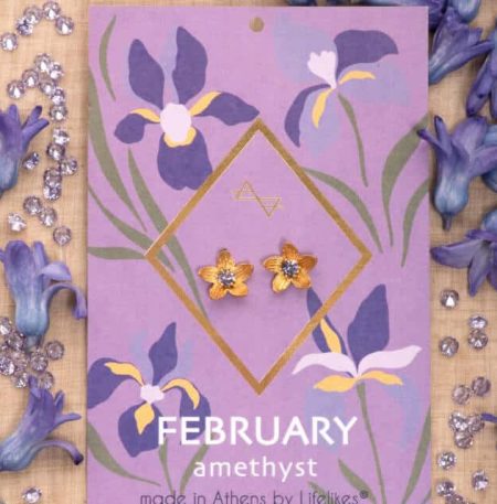 Σκουλαρίκια Birthstone February