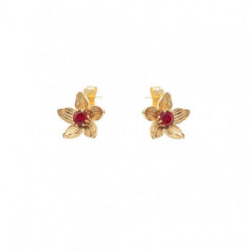 Σκουλαρίκια Birthstone January