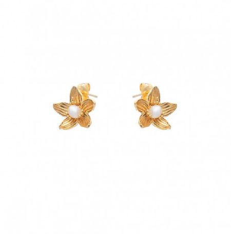 Σκουλαρίκια Birthstone June