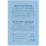 Σκουλαρίκια Birthstone March