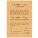 Σκουλαρίκια Birthstone November