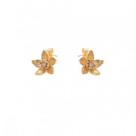 Σκουλαρίκια Birthstone November