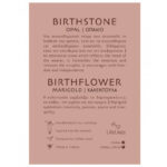 Σκουλαρίκια Birthstone October
