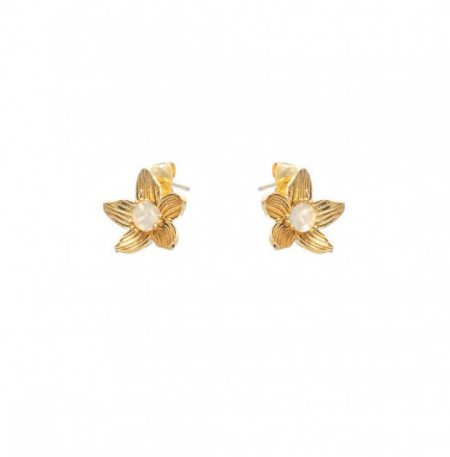 Σκουλαρίκια Birthstone October