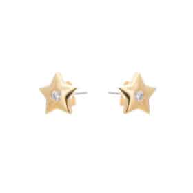 Σκουλαρίκια Καρφωτά Lifelikes Asteraki