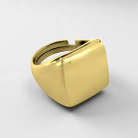 Δαχτυλίδι Chevalieur Basics Gold από ασήμι 925