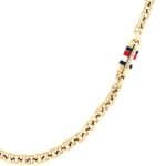Ανδρικό Κολιέ Tommy Hilfiger 2790651 Gold