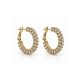 Σκουλαρίκια Peebls Crystal Orbit Clear Gold Hoop